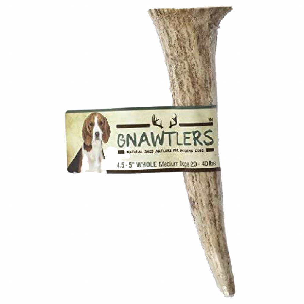 Gnawtlers Natural Shed Antlers